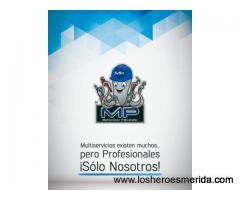 MP Multiservicios Profesionales