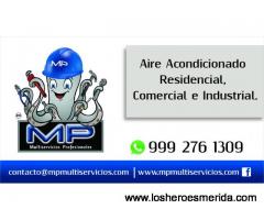 MP Multiservicios Profesionales